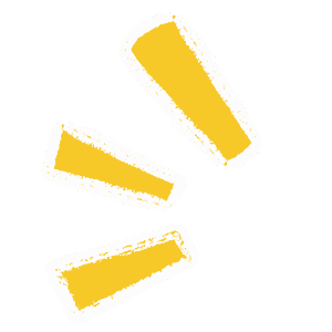 Coaching professionnel en ligne